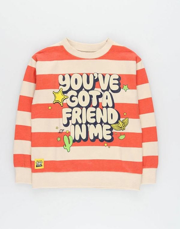 Sudadera Hay Un Amigo En Mi Boboli