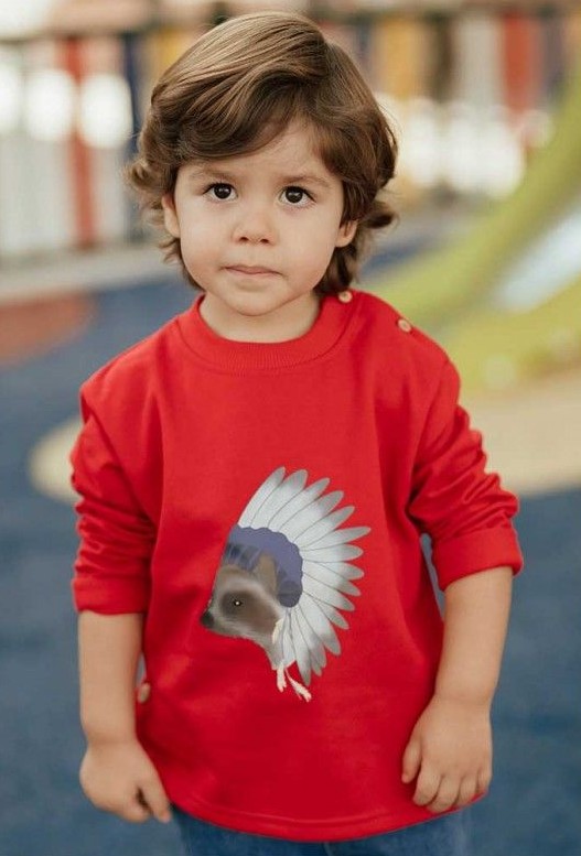 Sudadera Mapache Unisex Mon Petit Bonbon